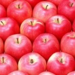 Что можно приготовить из яблок